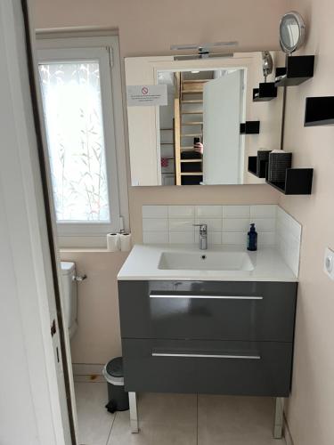 a bathroom with a sink and a mirror at STUDIO proche aéroport in Bouguenais