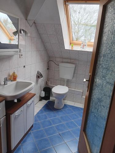 克魯姆赫爾恩的住宿－Alte Pastorei Jennelt，一间带卫生间和水槽的浴室