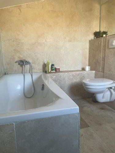 une salle de bain avec baignoire et toilettes dans l'établissement Maison familiale charmante, à Borgo