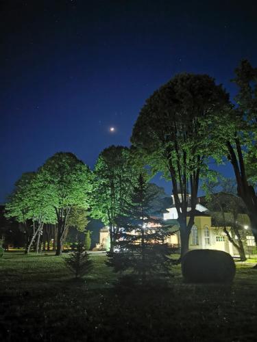 a group of trees in a field at night at Apartmani Iva in Banja Koviljača