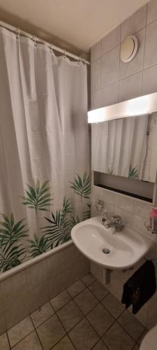 a bathroom with a sink and a shower curtain at Asima in Montreux