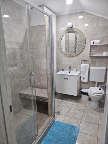 a bathroom with a shower and a toilet and a sink at ForS Konak Apartments in Belgrade