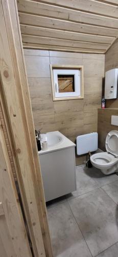 uma casa de banho com um lavatório e um WC em Jezioro Srebrne w Osowcu em Turawa