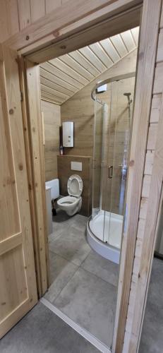 uma casa de banho com um WC e uma cabina de duche em vidro. em Jezioro Srebrne w Osowcu em Turawa