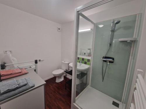 een badkamer met een douche, een toilet en een wastafel bij Holiday flat near the beach on the Emerald Coast in Saint-Cast-le-Guildo