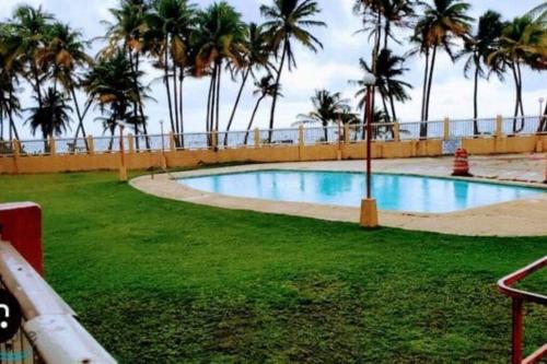 a swimming pool with palm trees in the background at Ocean Blue Beach Apt in Luquillo