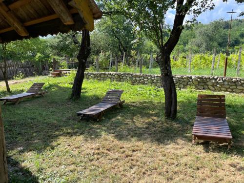 three benches sitting under a tree in a park at The Carpathian Lodge in Runcu