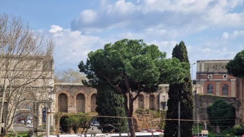 a building with a tree in front of a building at Major 93 Guesthouse in Rome