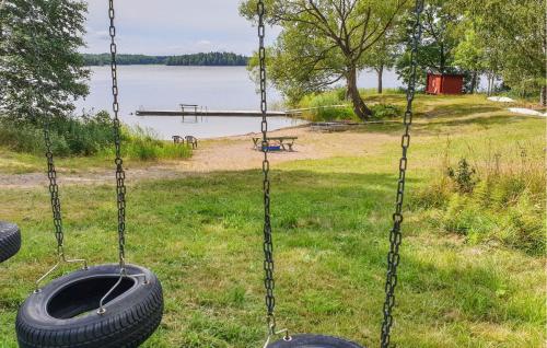 a swing with a tire on the grass next to a lake at Cozy Home In Sparreholm With Wifi in Sparreholm