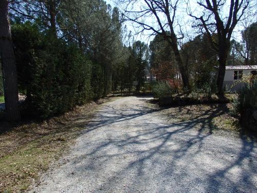 a gravel driveway with trees and bushes on either side at Camping Village la Chiocciola in Capannole