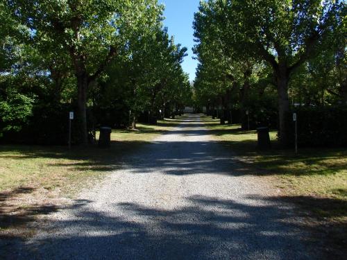 a tree lined road with trees on either side at Camping Village la Chiocciola in Capannole