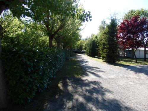 a road with a hedge and trees on the side at Camping Village la Chiocciola in Capannole