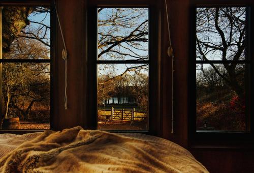 1 cama en una habitación con 3 ventanas con vistas en Koppla Cabin, en Felbridge