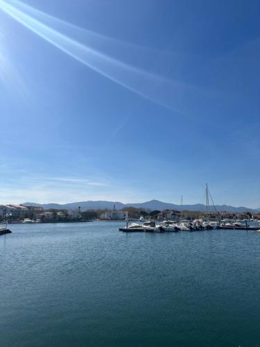 Naturlandschaft in der Nähe des Ferienhauses