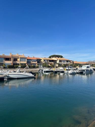 un groupe de bateaux est amarré dans un port de plaisance dans l'établissement Maisonnette bord de Lagune et Plage St Cyprien, à Saint-Cyprien