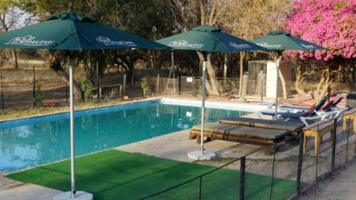 - une piscine avec 2 parasols et des chaises longues à côté de la piscine dans l'établissement Kamoka Camp, à Hoedspruit
