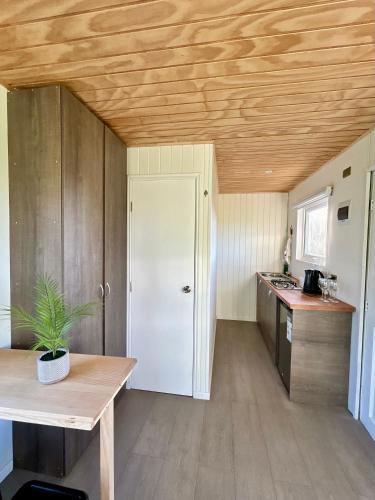 a kitchen with wooden ceilings and a table with a potted plant at Tinyhouses Mirador del Lago in Puerto Varas