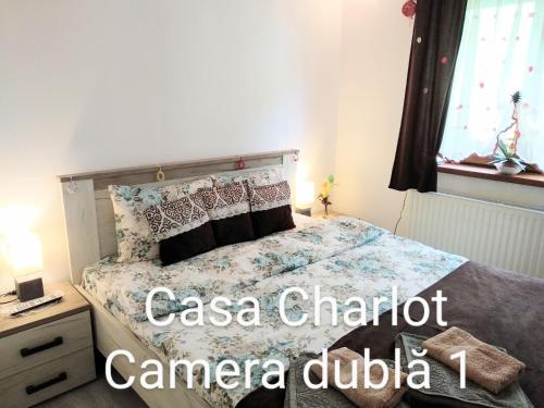 um quarto com uma cama, uma secretária e uma janela em Casa Charlot em Brasov