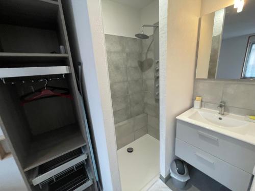 uma pequena casa de banho com um lavatório e um chuveiro em APPARTEMENT HYPER CENTRE numéro 101 em Roanne