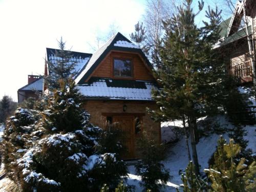 a house with snow on the roof and two trees at Domek w Krynicy z sauną in Krynica Zdrój