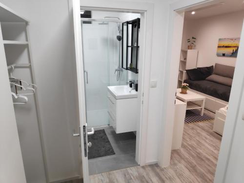 y baño con ducha, lavabo y espejo. en NEU Renoviertes Modernes Studio im Zentrum en Wiener Neustadt