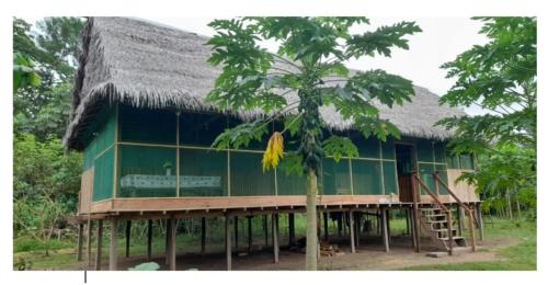 um grande edifício verde com um telhado de palha em Amazon tucuxi em Mazán