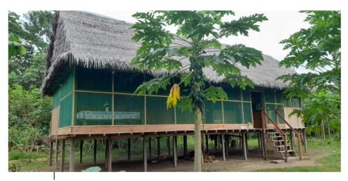 a large green building with a straw roof at Amazon tucuxi in Mazán