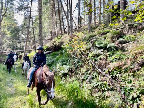 Fotografie z fotogalerie ubytování Scottish Equi B&B v destinaci Lanark