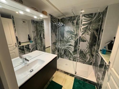 a bathroom with a sink and a glass shower at Bidart côte basque T3 250 mètres de la plage 3*** in Bidart