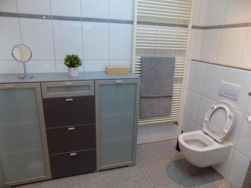ein Badezimmer mit einem WC und einem Waschbecken mit einem Spiegel in der Unterkunft Vakantiewoning Hartje Maaseik in Maaseik