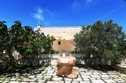 Φωτογραφία από το άλμπουμ του B&B Masseria Piccola σε Cisternino