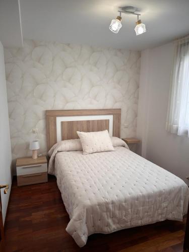 a bedroom with a bed with a white comforter at PISO OROSO NO CAMIÑO in Sigüeiro