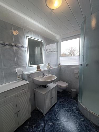 a bathroom with a sink and a toilet and a shower at LütjeFöhr in Alkersum