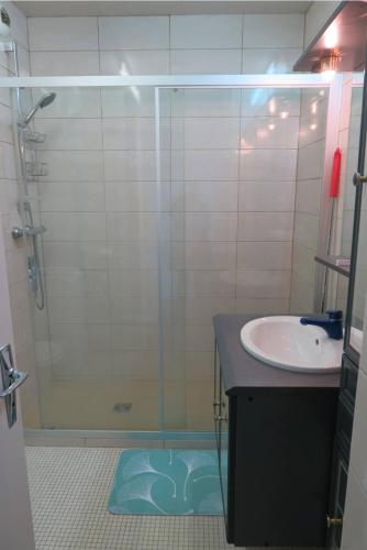 une salle de bain avec douche et lavabo dans l'établissement Appartement VUE MER avec loggia au port de de PERROS-GUIREC - Réf 845, à Perros-Guirec