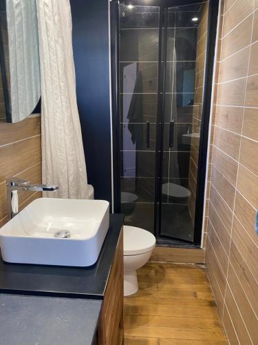 a bathroom with a sink and a shower and a toilet at 50 m2 Vue Loire avec parking in Orléans