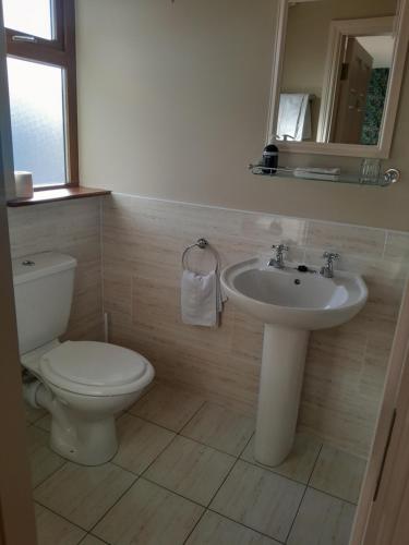 La salle de bains est pourvue de toilettes et d'un lavabo. dans l'établissement Ard na Coille, à Tralee