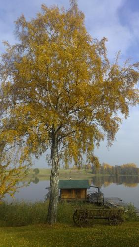 a tree standing in front of a house next to a lake at Sodyba Brazylija in Taraldžiai