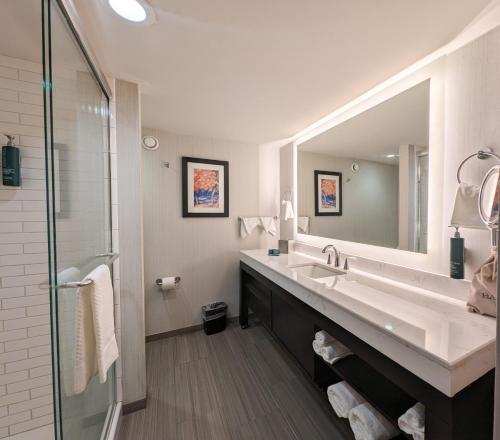 bagno con grande lavandino e doccia di DoubleTree by Hilton Hotel Oak Ridge - Knoxville a Oak Ridge