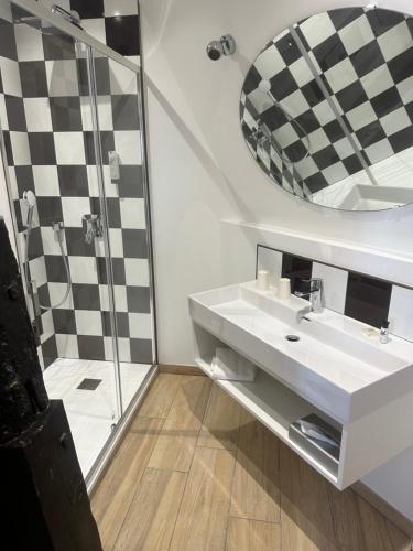 a bathroom with a sink and a shower at Grand Hôtel de l'Abbaye in Beaugency