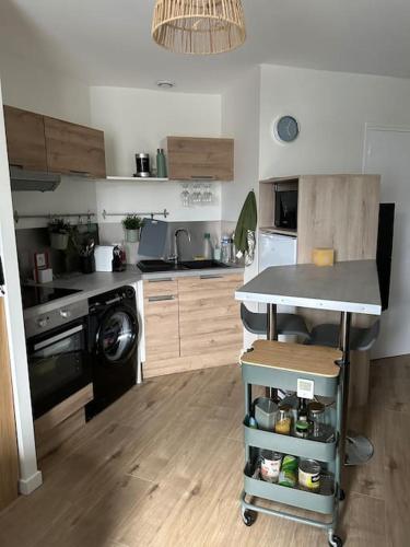 - une cuisine avec un comptoir et un lave-vaisselle dans l'établissement Studio cozy Saint-Malo, à Saint-Malo