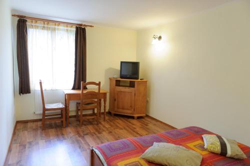 Una televisión o centro de entretenimiento en Pensiunea Aries Arieseni