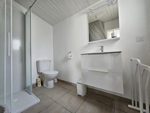 une salle de bain avec toilettes, lavabo et miroir dans l'établissement Maison * 2/4 pers* Jard sur Mer, à Jard-sur-Mer