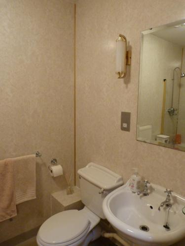 ein Badezimmer mit einem weißen WC und einem Waschbecken in der Unterkunft Shire Cottage Devils Bridge in Yspytty Cynfyn