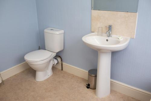 a bathroom with a toilet and a sink at Townhouse Aberystwyth in Aberystwyth