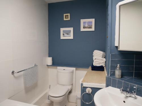 uma casa de banho com um WC branco e uma parede azul em Fishermans Cottage em Portland