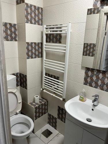 a bathroom with a toilet and a sink at Ceronav Portului Studio in Galaţi