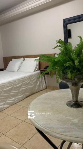 a bedroom with a bed and a table with a plant at Gran Lord Hotel in Pará de Minas