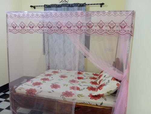 a bed in a room with a canopy at Airb&b Homestay in Boma la Ngombe