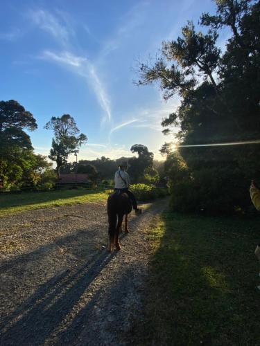 una persona montando un caballo por un camino de tierra en Rancho Makena en Monteverde Costa Rica