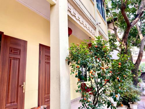 an orange tree in front of a building at Lee Homestay in Hanoi